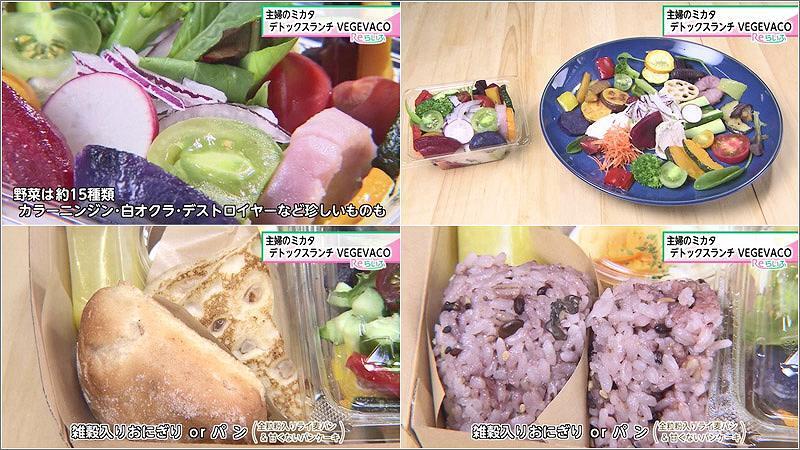 05 VEGEVACOの説明