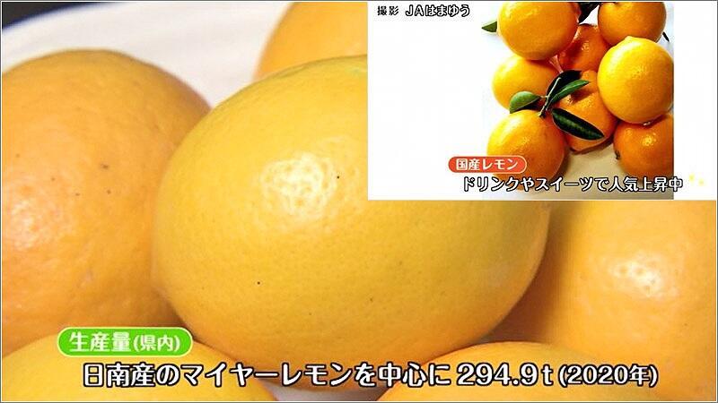 01 県産レモン