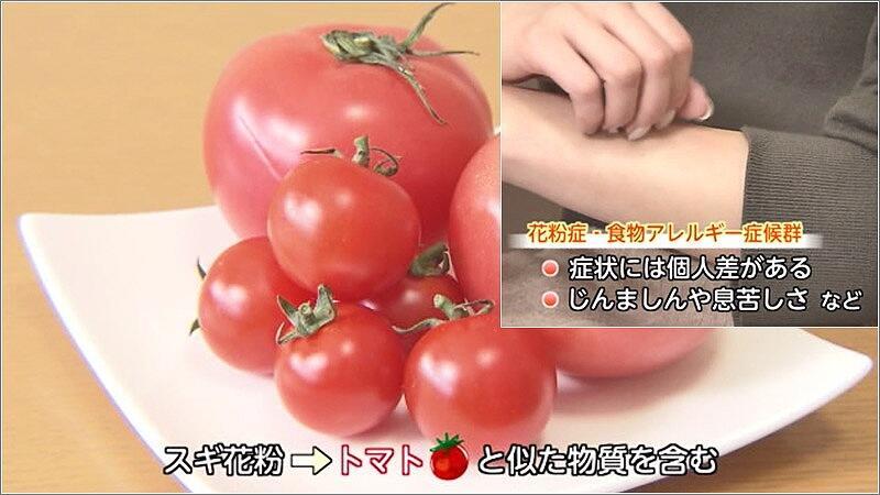 05 トマトに含まれるアレルギー成分