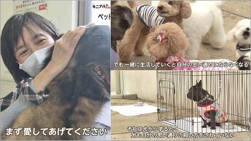 04 犬を愛する