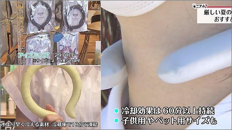 06 アイスリング