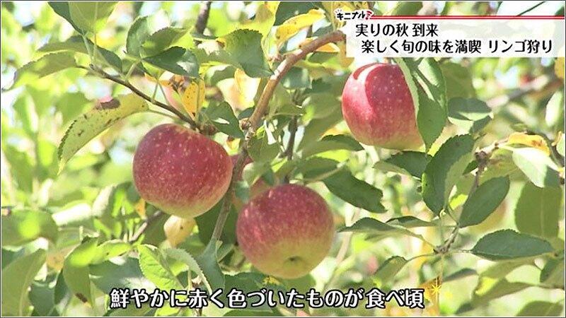 04 食べごろのサイン