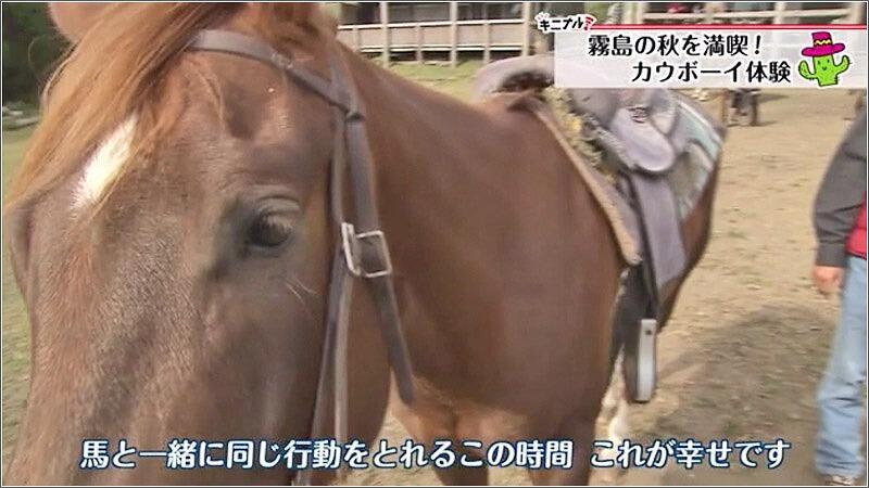 04 馬といっしょに行動