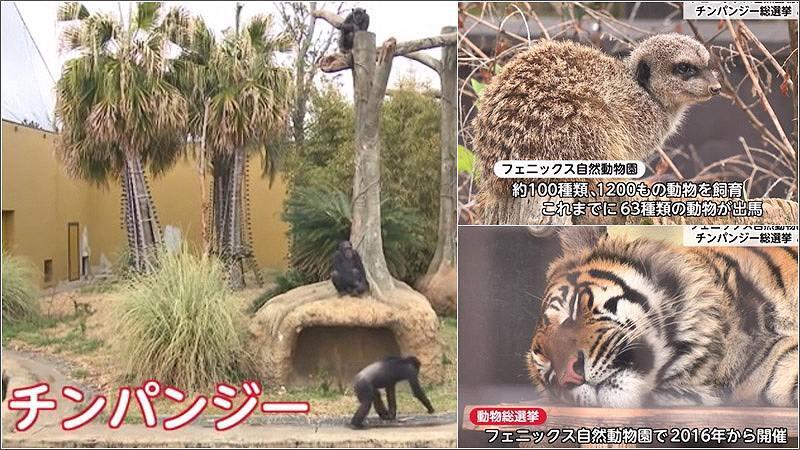 02 動物総選挙