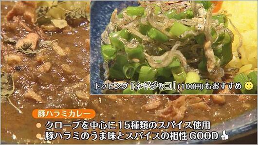 05 豚ハラミカレー 説明