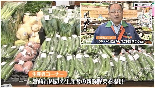 たくさんの新鮮野菜