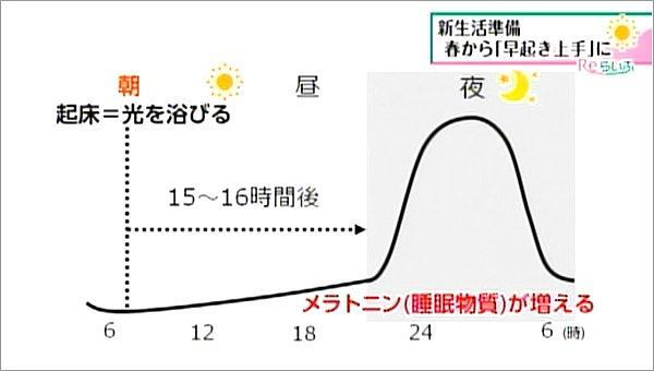 メラトニンのしくみ