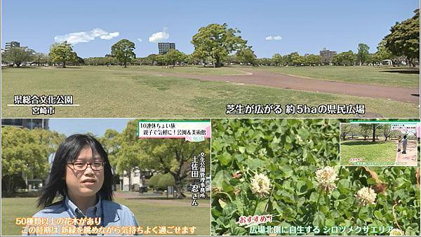 県総合文化公園内にある県民広場／土佐田さん