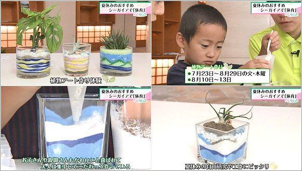 植物アートづくり体験