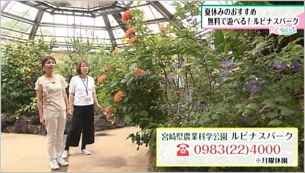 お問合せ