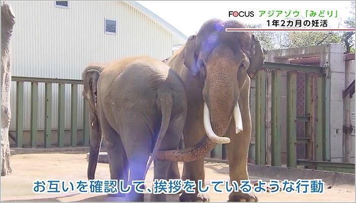 02 仲の良い様子のマックとみどりちゃん