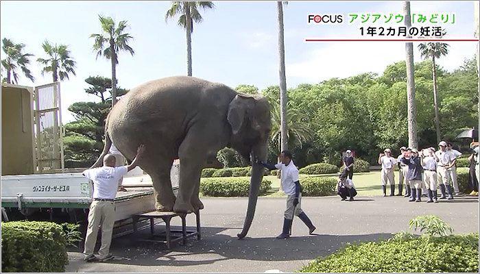 03 久しぶりの宮崎の地を踏むみどりちゃん