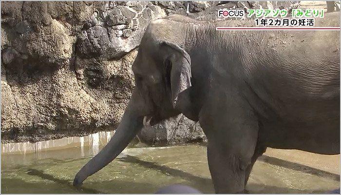 05 水を飲むみどりちゃん