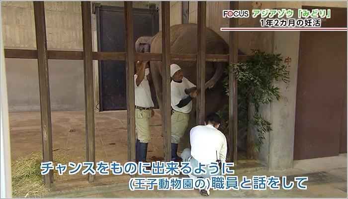 07 王子動物園のスタッフと試行錯誤する黒木さん