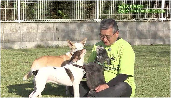 09 日向市に住む篠原さんと犬たち