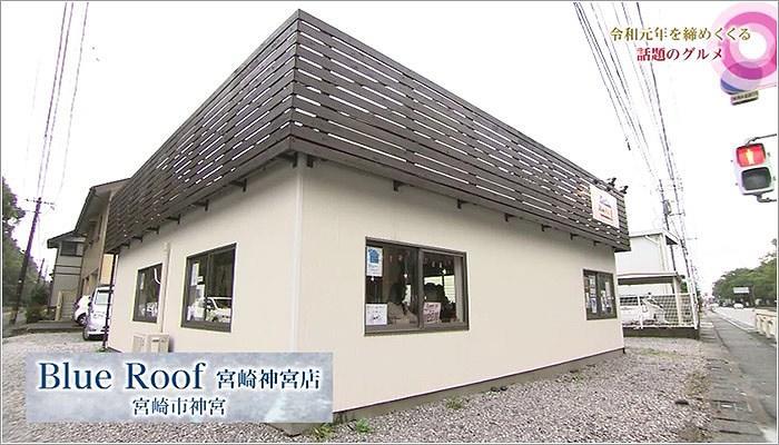 09 Blue Roof