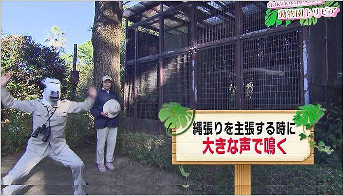 07 ワライカワセミを笑わせようと奮闘する児玉アナ