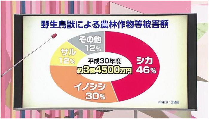 01 野生鳥獣による農林作物等被害額