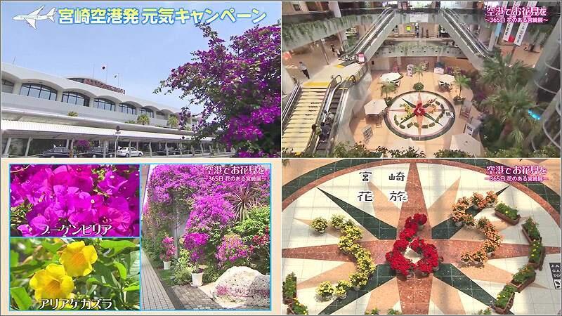 01 宮﨑ブーゲンビリア空港の「元気キャンペーン」