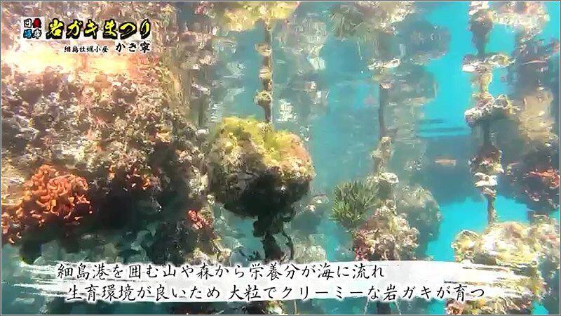 03 養殖されている様子