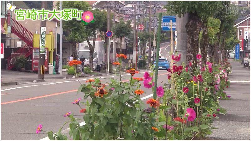 01 花が咲く大塚町の沿道
