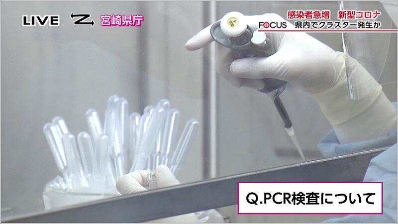 06 PCR検査の様子