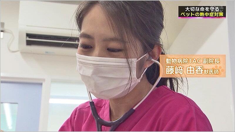 04 動物病ATAC副院長 藤崎 由香 獣医師