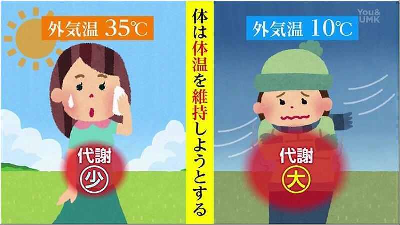 03 夏と冬の代謝の違い