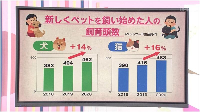 08 ペットの飼育頭数