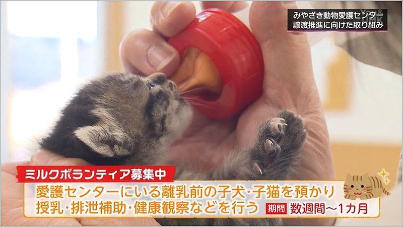 11 ミルクボランティア