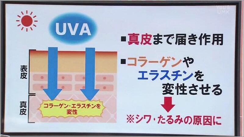 04 紫外線UVA