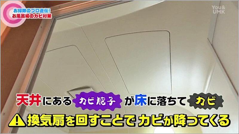 10 カビ発生の原因