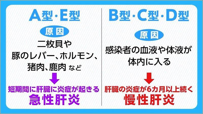B型肝炎は人にどのような影響を及ぼしますか?