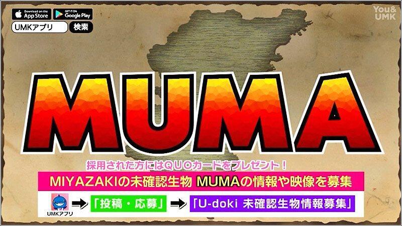 07 MUMA募集