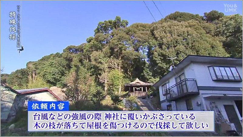 02 伐採依頼場所