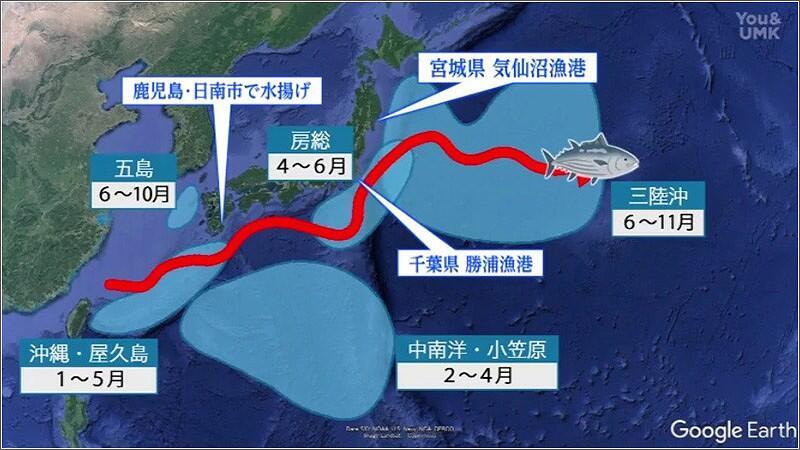 03 カツオの移動