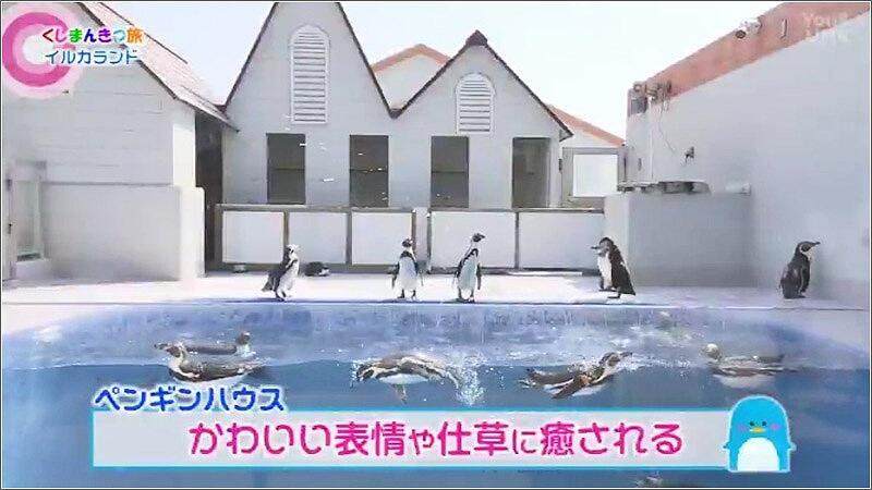 04 ペンギンハウス