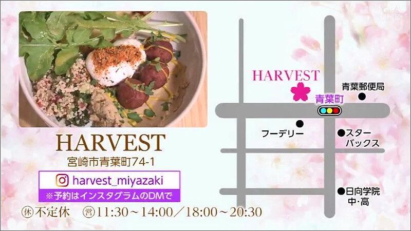 08 お問い合わせ HARVEST