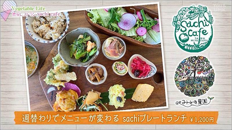 08 sachiプレートランチ