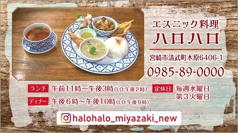 19 お問い合わせ ハロハロ