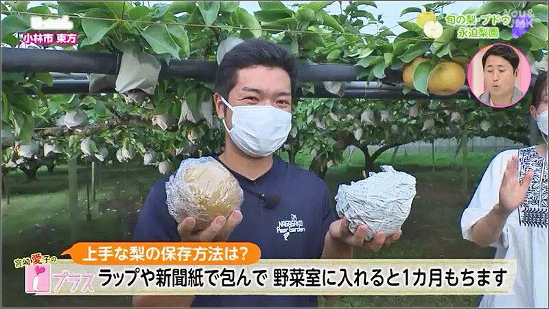 13 梨の保存方法