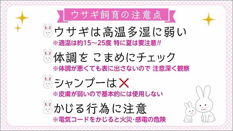 16 飼育の注意点