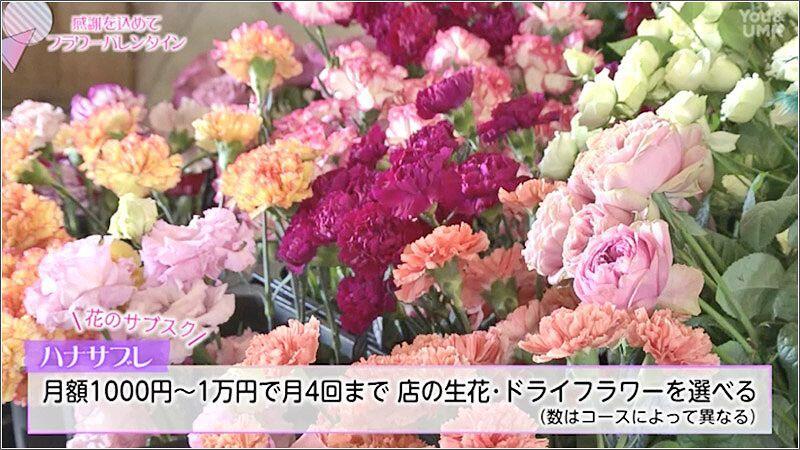 04 バルシュ フラワー サブスクリプション