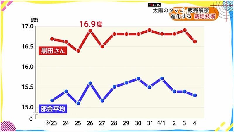 11 糖度の高さ