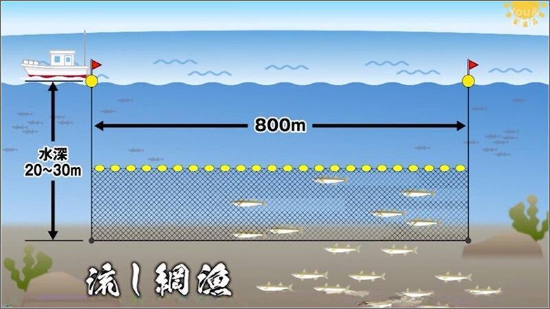 04 流し網漁