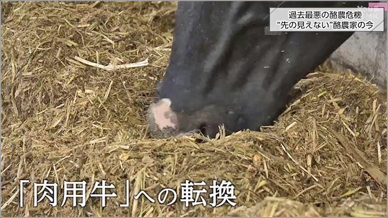 07 肉用牛への転換