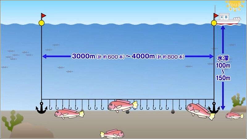 04 アマダイ漁の仕掛け