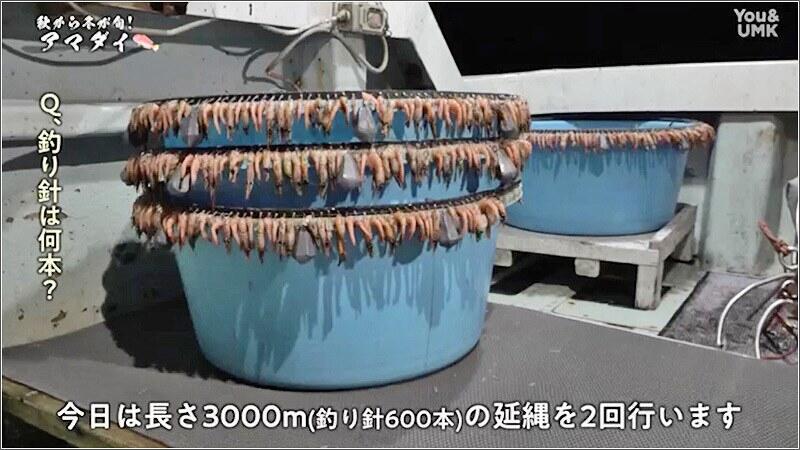 甘鯛延縄 新品 - その他 甘鯛延縄 新品 - その他