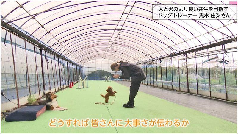 04 犬に向き合う