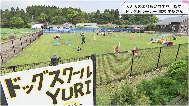 07 ドッグスクールYURI